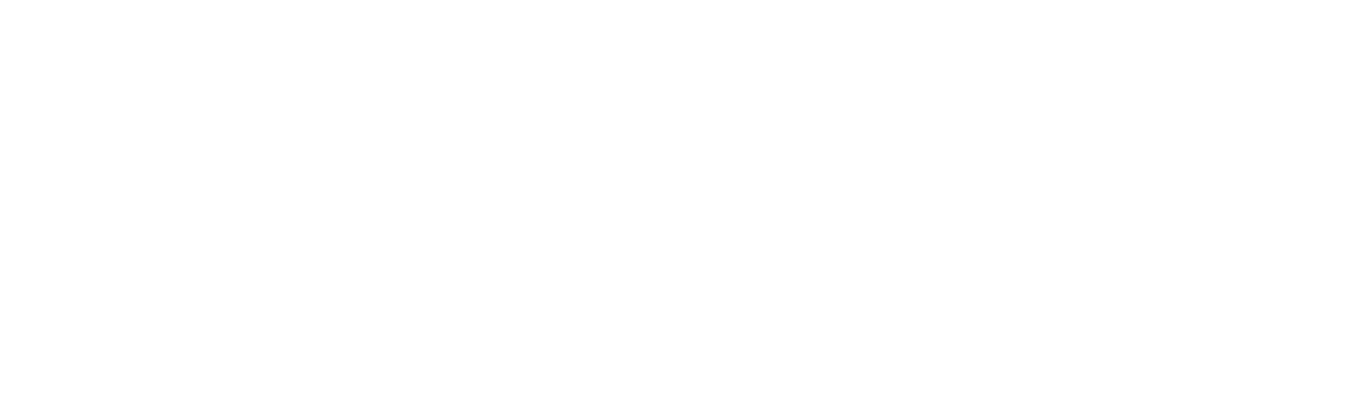 lina-logo